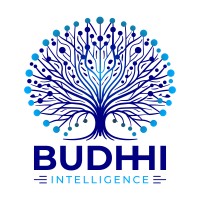 Budhhi logo - Similar company to Clinical Support Systems