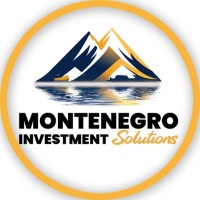 Montenegro Investment Solutions logo - Similar company to Lbinnovation