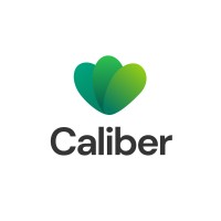 Caliber Exim logo - Similar company to Fabstor Export Import