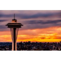 The Seattle SEO Company logo - Similar company to Untamed Seo