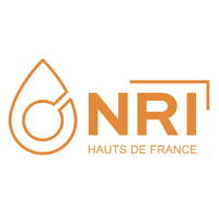 Nord Recherche Infiltration - NRI logo - Similar company to Nord Access - Solutions Provider