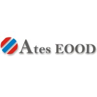 Ates EOOD logo - Similar company to Ates Group