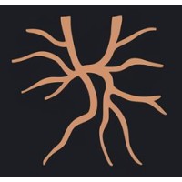 Vasomaly logo - Similar company to Limbium Makers