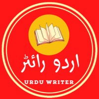 UrduWriter.pk logo - Similar company to Kid Zone