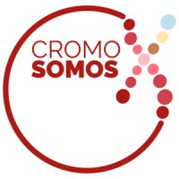 Cromosomos X logo - Similar company to Faedei