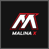MALINA X logo - Similar company to Hypeit Solutions