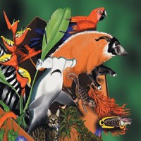 Center for Macroecology, Evolution and Climate (CMEC) logo - Similar company to Institut For Ecoscience - Aarhus Universitet