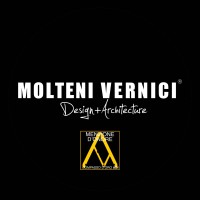 Molteni Vernici logo - Similar company to Siggia