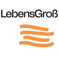LebensGroß logo - Similar company to Csplus Gmbh