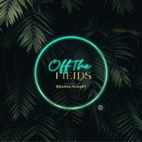 Off The Fields logo - Similar company to Off The Field Nfl Wives Association