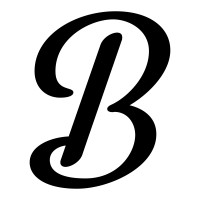 Birch Road Investments logo - Similar company to Home Masters Mentoring