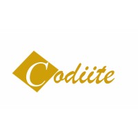 CODIITE logo - Similar company to Commadiv Solutions