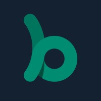 BlinkPayroll logo - Similar company to Coddict