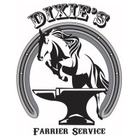 Dixie's Farrier Service logo - Similar company to Equine Instruments