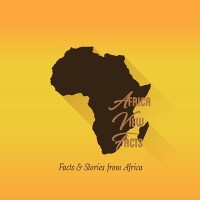 Africa View Facts logo - Similar company to Raprogram@Aui