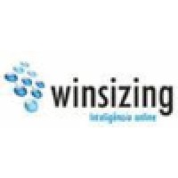 Winsizing Informática