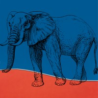 Invisible Elephant Foundation logo - Similar company to Catrina Resort