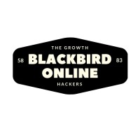 BlackBird Consulting (An ABeam Group Company) logo - Similar company to Blackbird Solutions Ltd