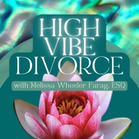High Vibe Divorce Podcast logo - Similar company to Treuhaft & Zakarin, Llp