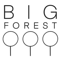 Big Forest LLC logo - Similar company to Britesparkes
