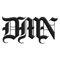 DMN Consulting logo - Similar company to Lynda Ai