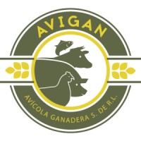 Avigan logo - Similar company to Cowix