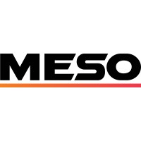 MESO Solutions logo - Similar company to Macdonald Sheet Piling