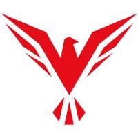 Firebird Tech Partners logo - Similar company to Rightclick Professional Services