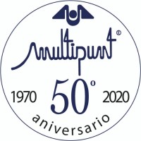 Grupo Multipunt logo - Similar company to Ams Partners