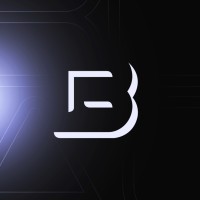 Black Network - Web Development logo - Similar company to Fiveasy