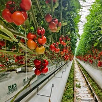 SARL Les Jardins de Camargue logo - Similar company to Coopérative Sud Roussillon