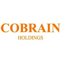 Cobrain Holdings logo - Similar company to Astar Rigging Constructions