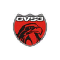 Grupo GVS3