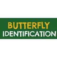 Butterfly Identification logo - Similar company to Family Of Forest Resource Conservation (Forestation) Fkt Ugm