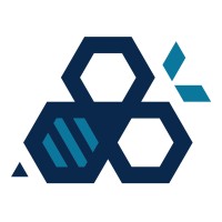 Blue Bee Intelligence logo - Similar company to Virtivity Gmbh
