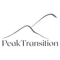 PeakTransition logo - Similar company to Insite Search