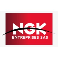 NGK Entreprises SAS logo - Similar company to Immotrusts Cameroun