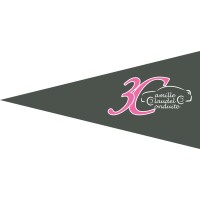 3C Auto Ecole logo - Similar company to Evo & Go