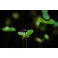 Fromo Development logo - Similar company to Implicit Designs