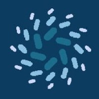 DEVVISION logo - Similar company to Randomizer Ltd.