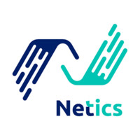 Netics logo - Similar company to Itq Latam