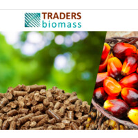 TRADERSbiomass logo - Similar company to Plenonis Ltd.