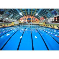 ვაკის საცურაო აუზი / Vake Swimming Pool logo - Similar company to Ebuilding.Ge