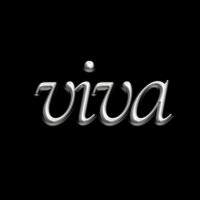 viva logo - Similar company to Superglue (Yc W25)
