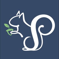 Creative Squirrel Studio logo - Similar company to Tomas & Co.