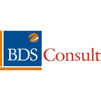 BDS CONSULT logo - Similar company to Blurredline Resource Limited