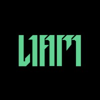 Liam Games logo - Similar company to Wd Creative Holding