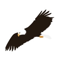 Credible Solar logo - Similar company to Bpp Corporate Group