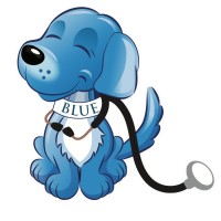 Bright Blue Unlimited, LLC