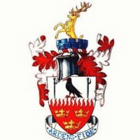 Brentwood Town FC logo - Similar company to Prace Agency